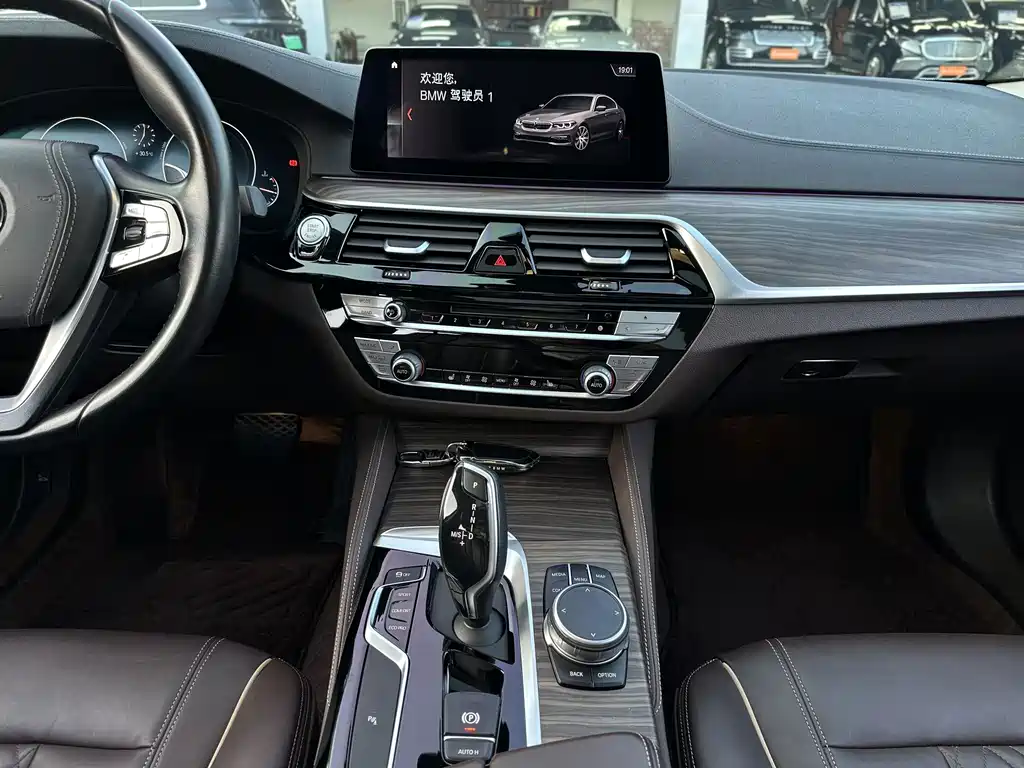 BMW 5 Series 2019 — фото 12