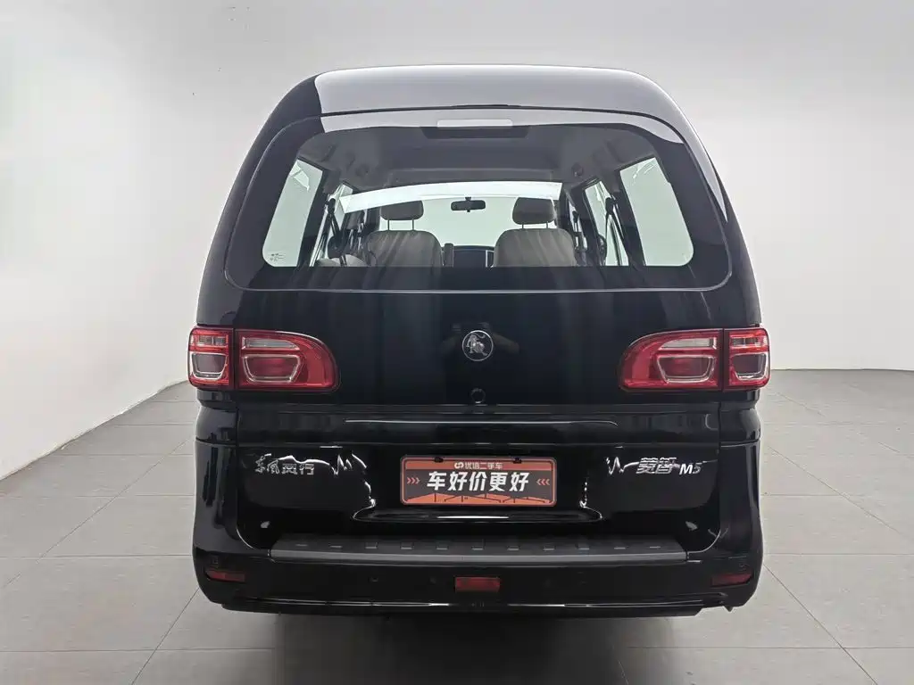 Dongfeng Lingzhi 2025