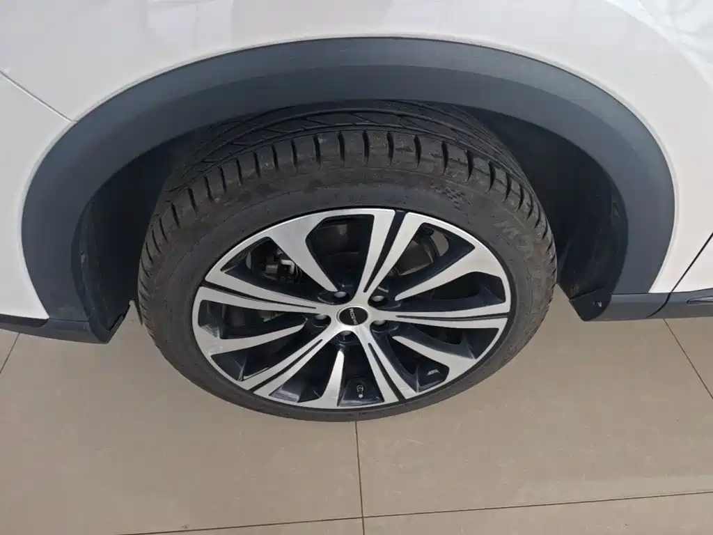 Roewe RX5 MAX 2021 — фото 23