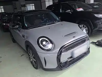 MINI MINI 2022