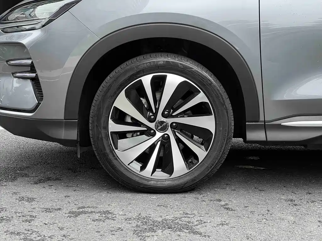 BYD PLUS New Energy 2023 — фото 35