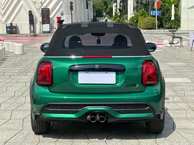 MINI MINI 2024