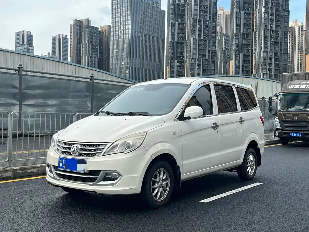 BAW Weiwang M20 2017