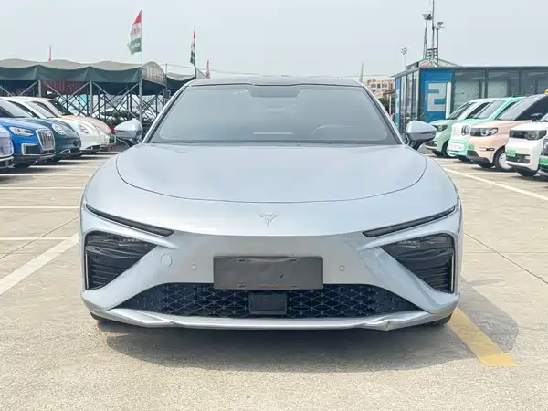 Neta S 2024