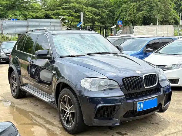 BMW X5 2009