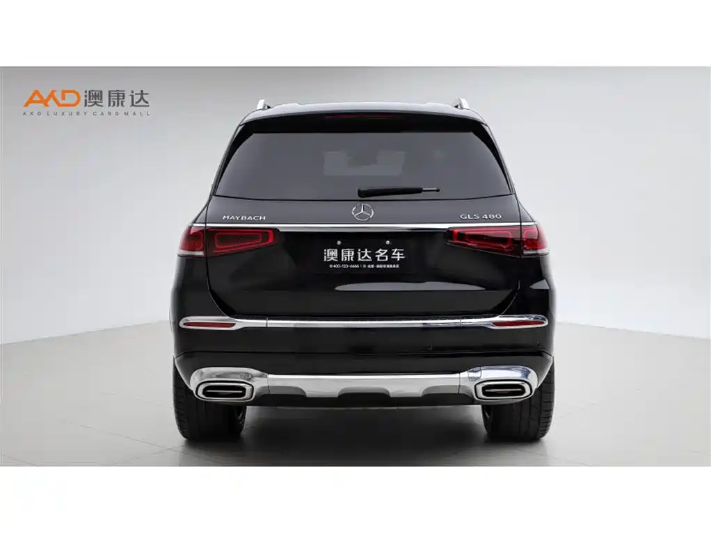 Mercedes-Benz Maybach GLS 2023 — фото 4