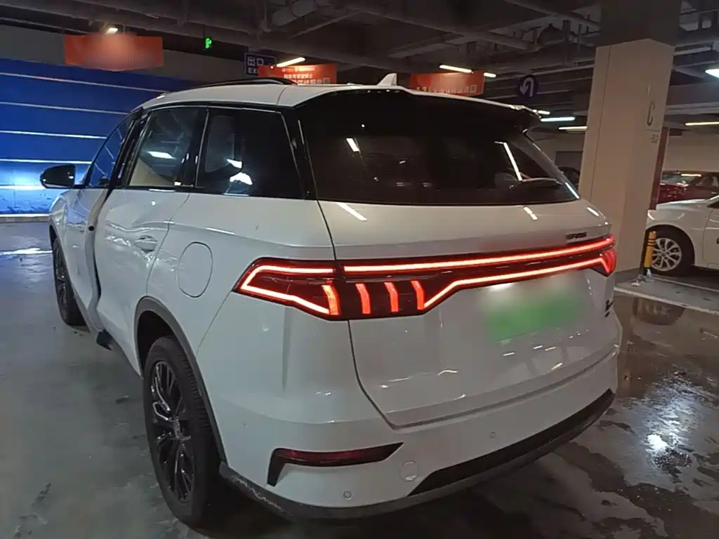 BYD Pro New Energy 2020 — фото 5