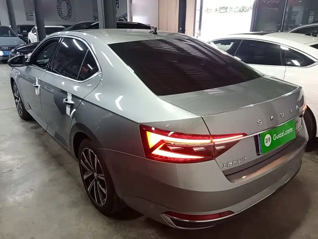 Skoda Speedy 2024