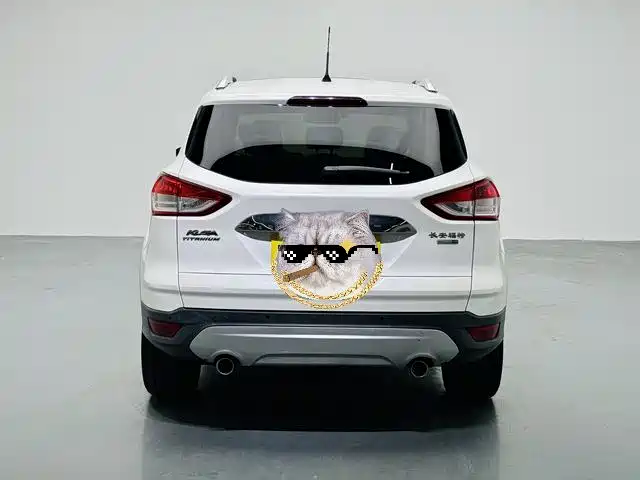 Ford Kuga 2015 — фото 5