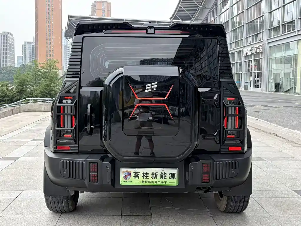 Shanhai Traveller C-DM 2024 — фото 6