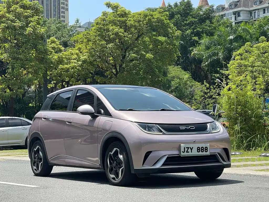 BYD Dolphin 2022