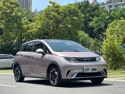 BYD Dolphin 2022