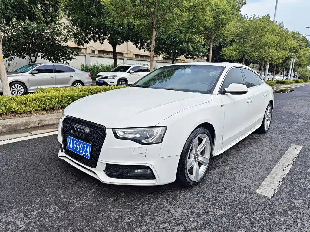 Audi S5 2013