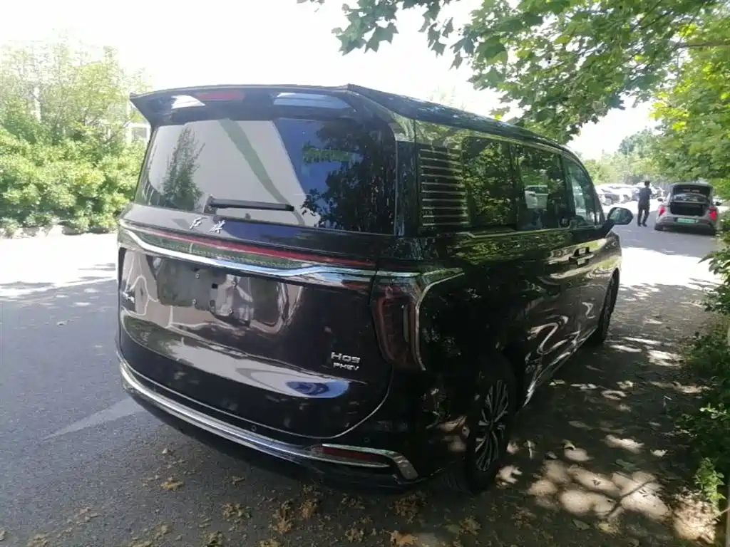 Hongqi HQ9 PHEV 2024 — фото 12