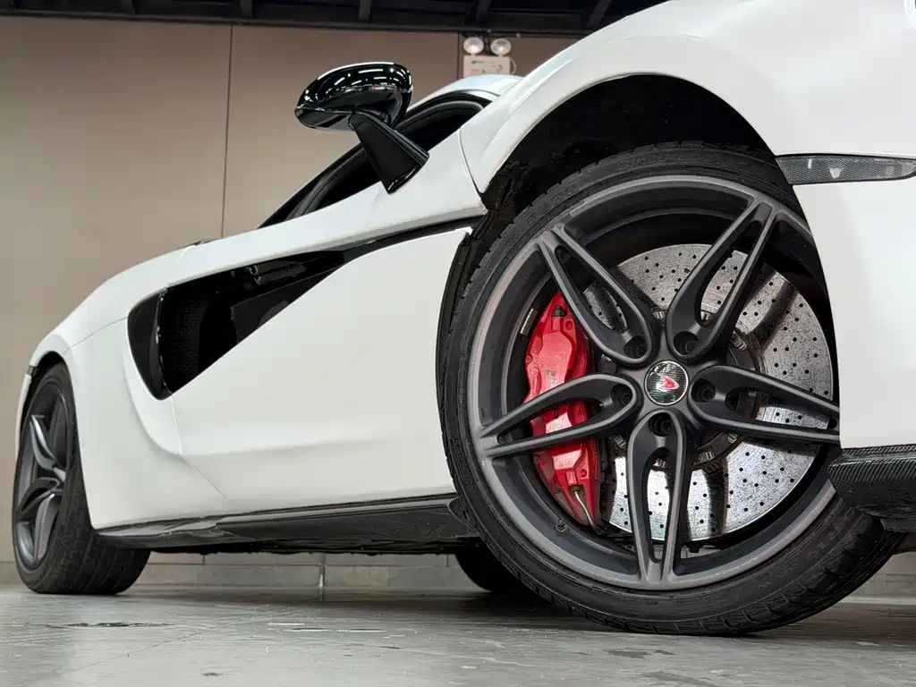 McLaren 570 2016 — фото 13
