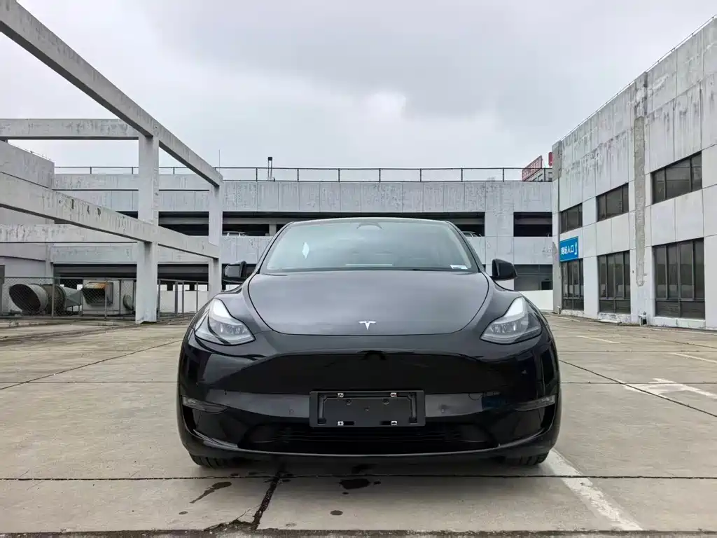 Tesla Model Y 2021 — фото 2