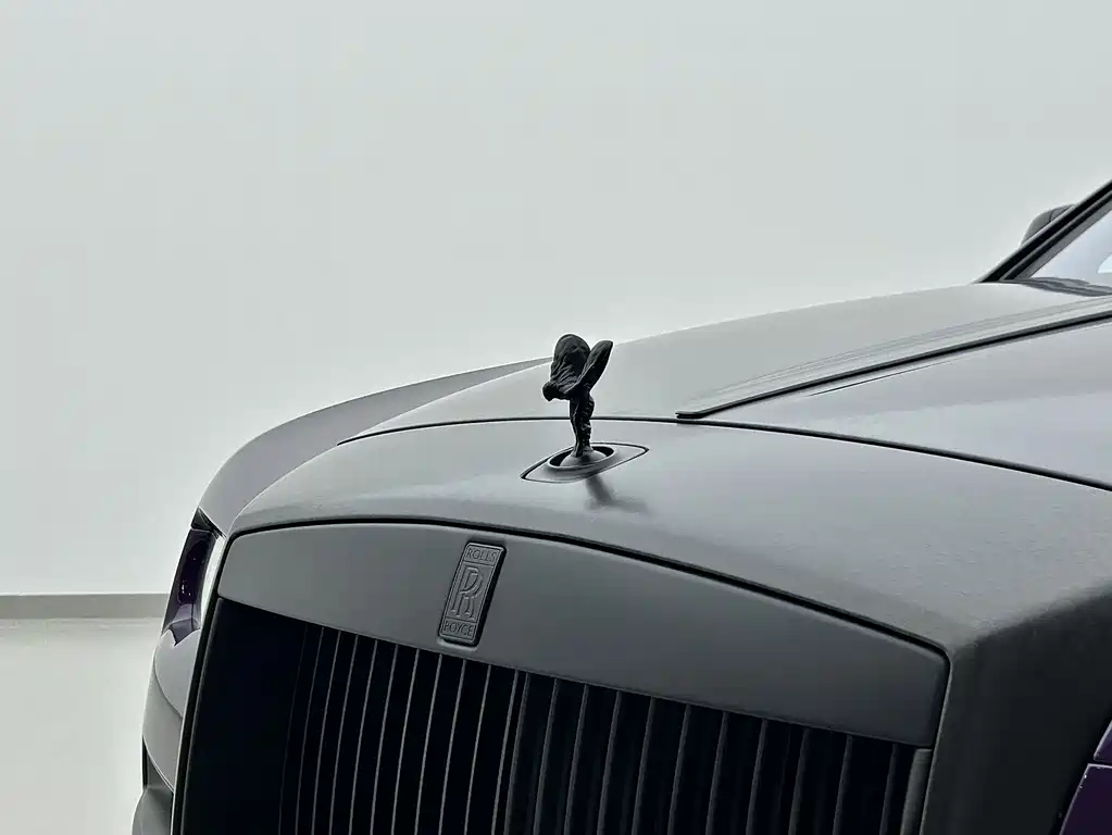 Rolls-Royce Phantom 2018 — фото 13
