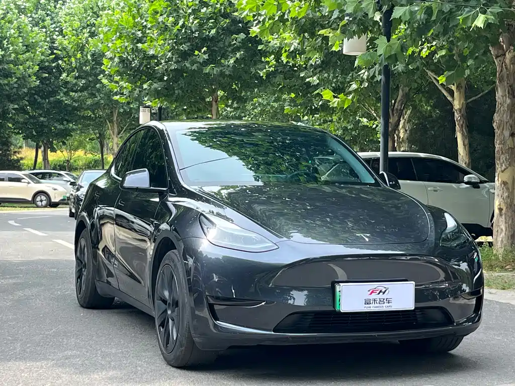 Tesla Model Y 2024 — фото 3