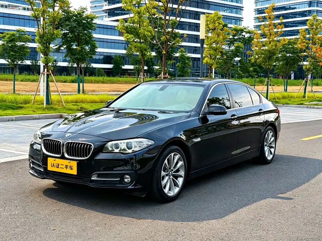 BMW 5 Series 2017 — фото 2