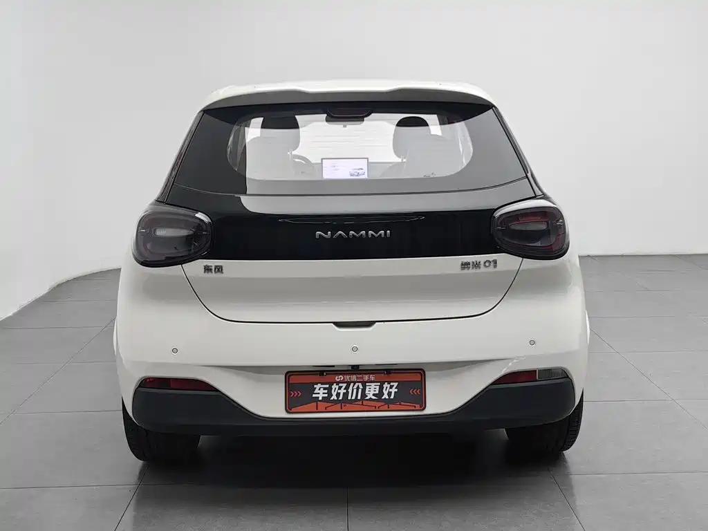 Dongfeng Nano 01 2025