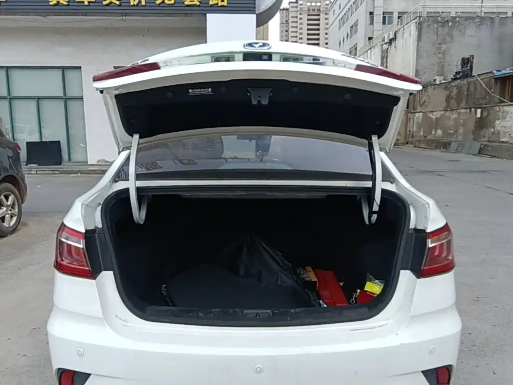 Changan Eado DT 2019 — фото 19