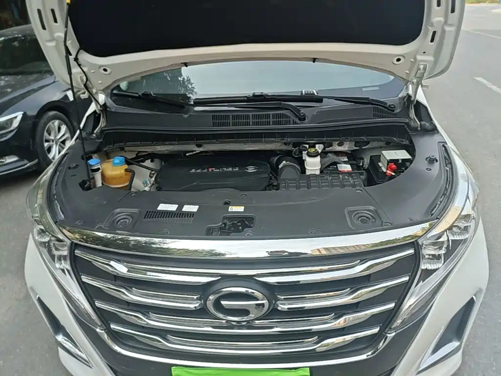 GAC Motor Trumpchi M8 2020 — фото 20