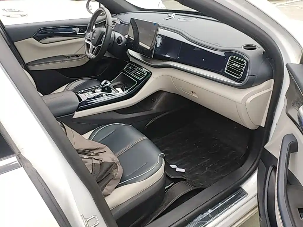 BYD Qin PLUS 2021 — фото 25