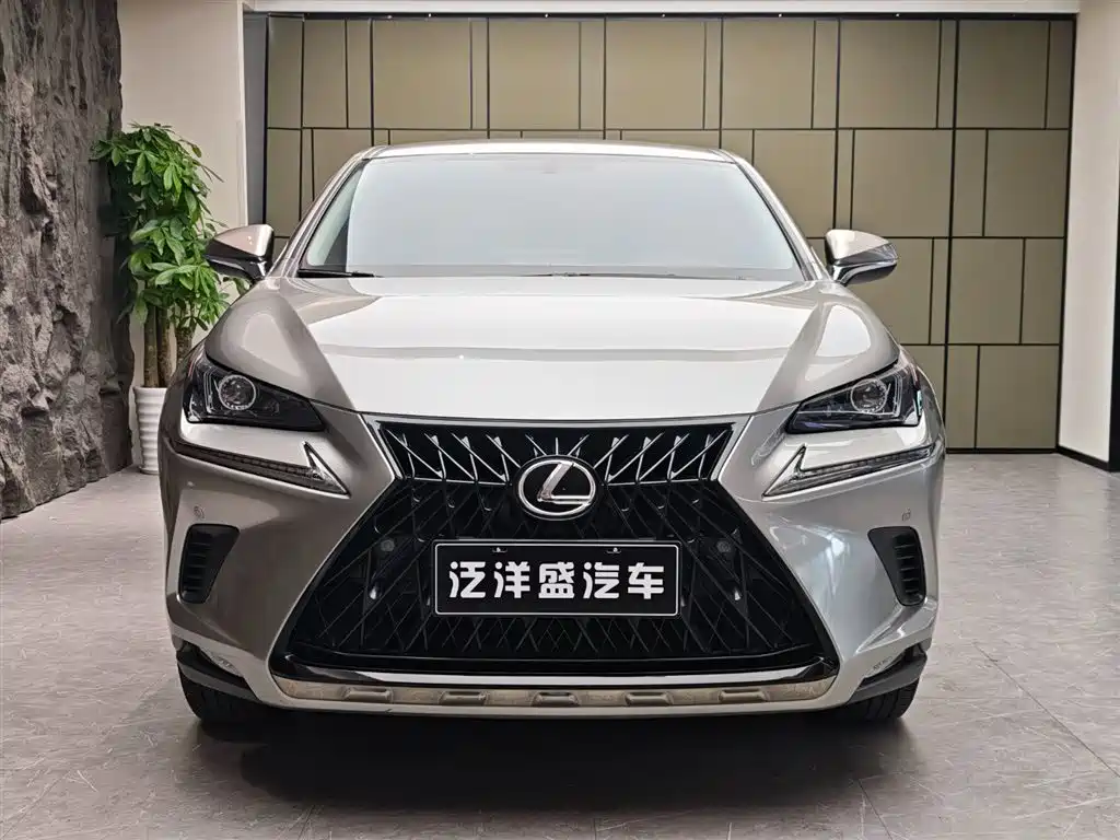 Lexus NX 2019 — фото 2
