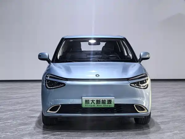 Dongfeng Nano 01 2024