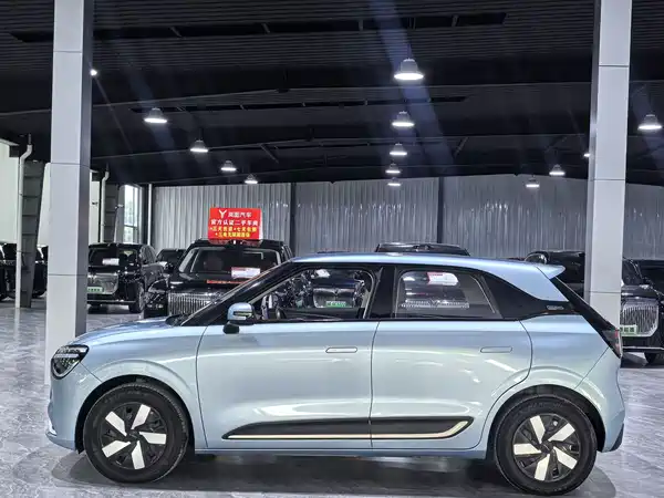 Dongfeng Nano 01 2024