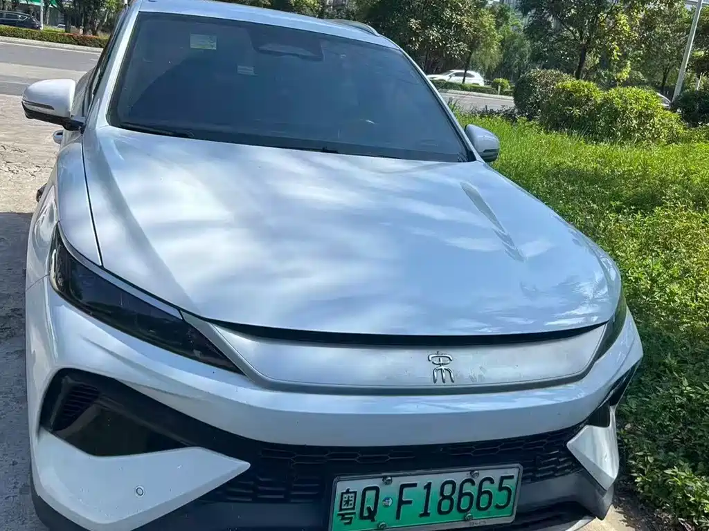BYD Pro New Energy 2025 — фото 1