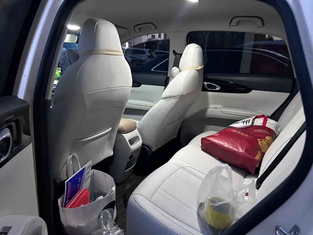 Geely Galaxy Starwish 2025 — фото 8
