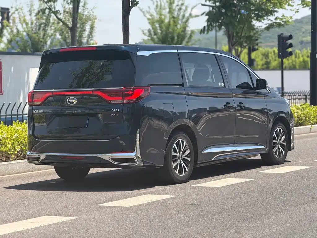 GAC Motor Trumpchi M8 2021 — фото 5