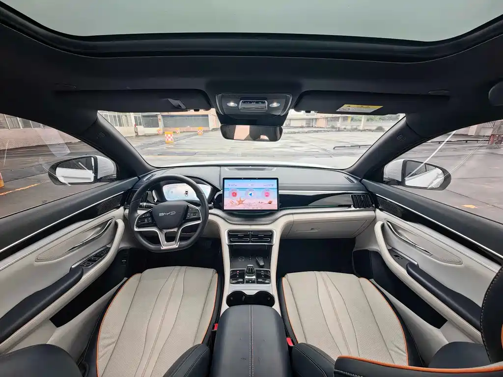 BYD PLUS New Energy 2024 — фото 18