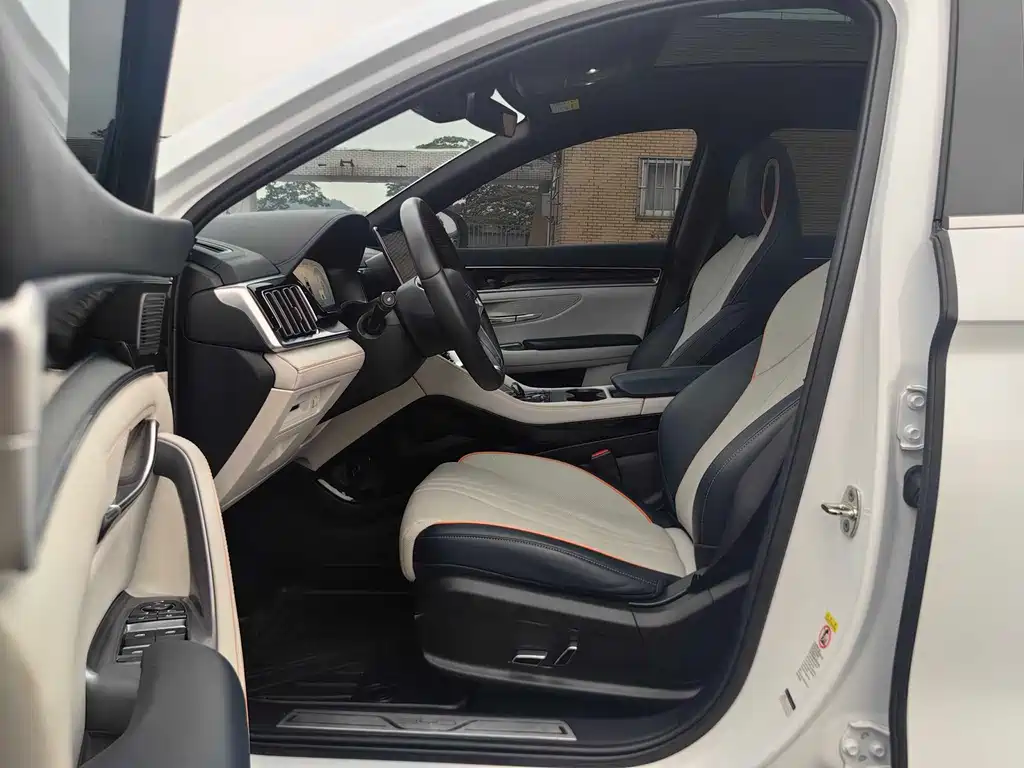 BYD PLUS New Energy 2024 — фото 16