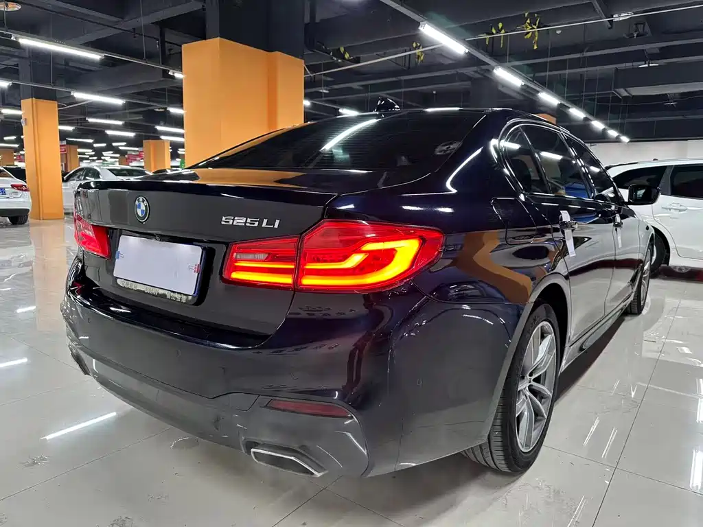 BMW 5 Series 2019 — фото 13