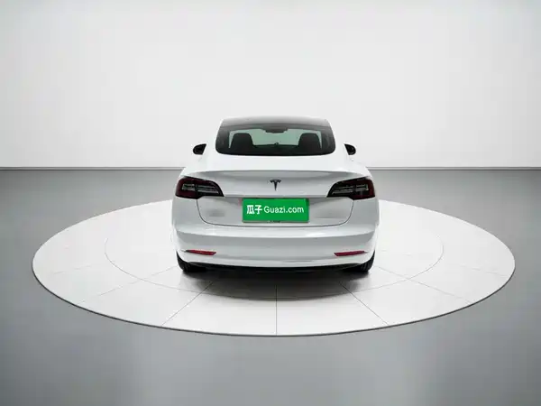Tesla Model 3 2020
