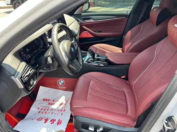 BMW 5 Series New Energy 2023
