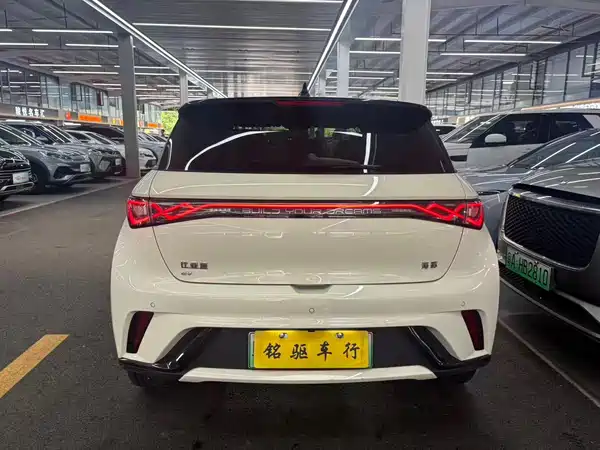 BYD Dolphin 2024