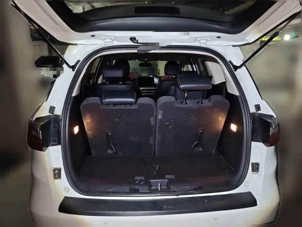 BYD MAX 2020 — фото 10