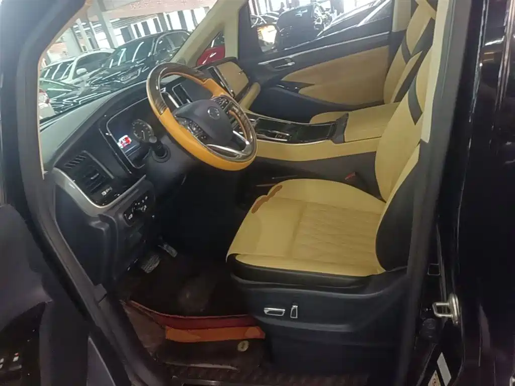 GAC Motor Trumpchi M8 2021 — фото 15