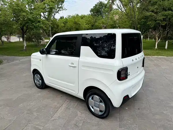 Geely Galaxy Panda 2023