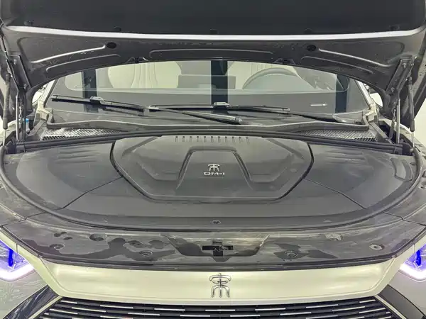 BYD Song PLUS New Energy 2023