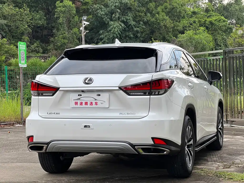 Lexus RX 2022 — фото 44