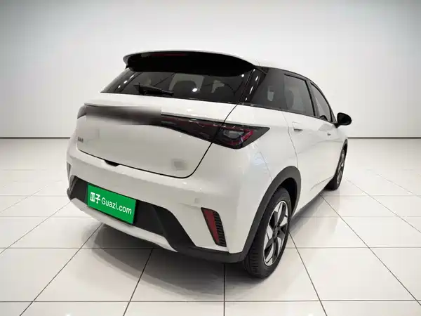BYD Dolphin 2025