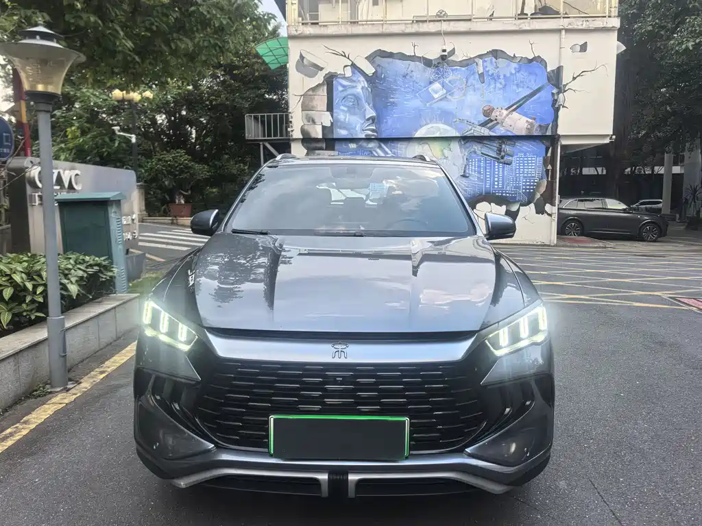BYD Pro New Energy 2024 — фото 3