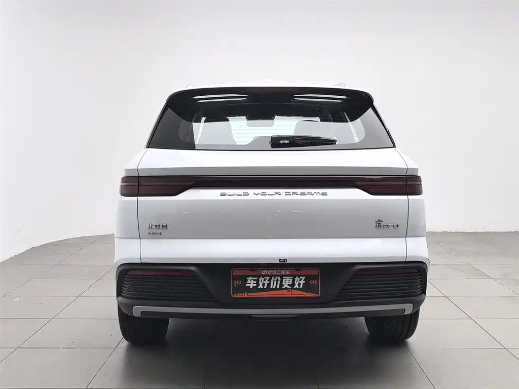 BYD Pro New Energy 2024 — фото 4