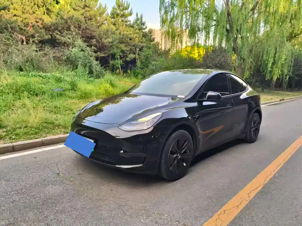 Tesla Model Y 2023 — фото 2