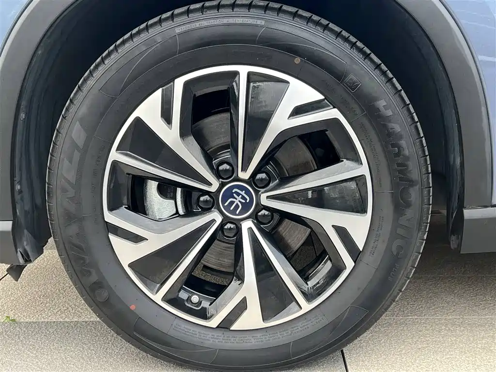BYD Pro New Energy 2025 — фото 11