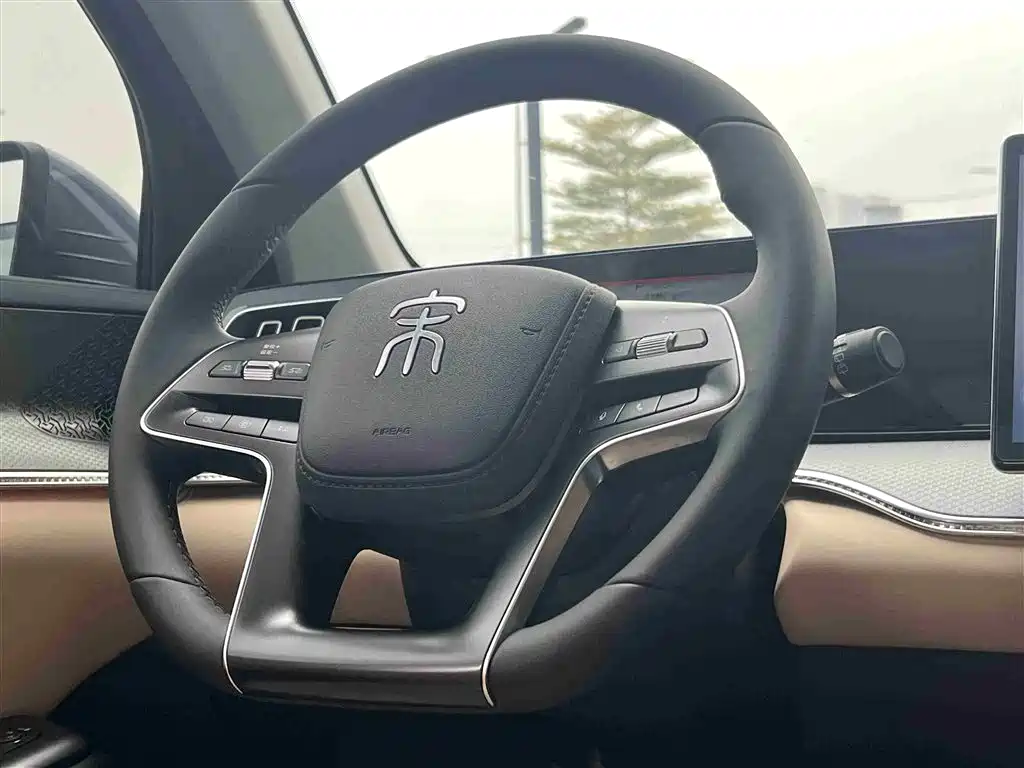 BYD Pro New Energy 2025 — фото 31